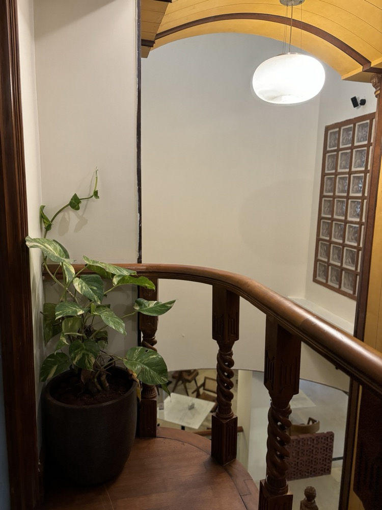 Cây xanh trang trí quán cà phê đẹp, dễ chăm