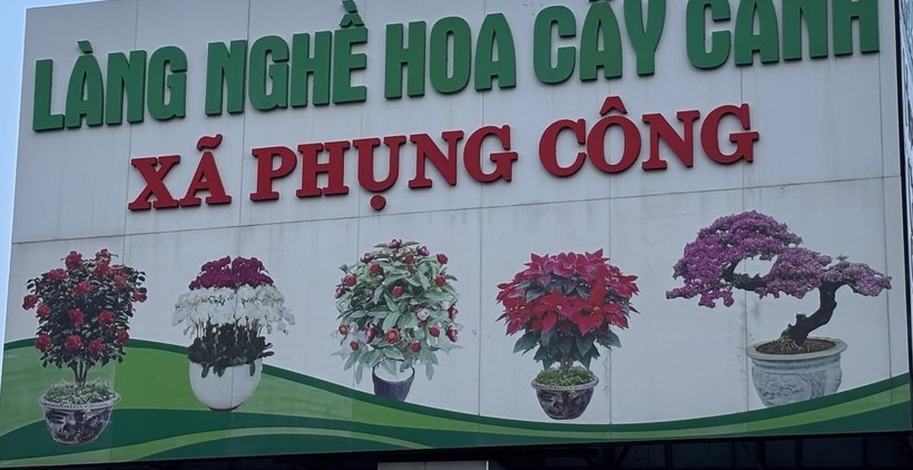 Làng Hoa Phụng Công – Làng nghề hoa cây cảnh xã Phụng Công