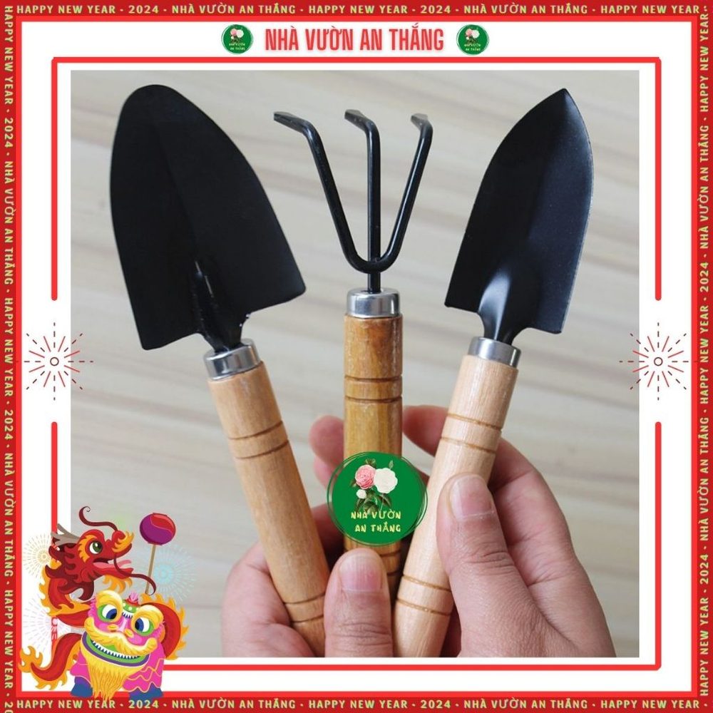 Hướng dẫn dùng viên nén xơ dừa & giá thể ươm hạt đúng cách